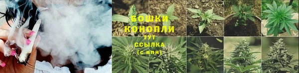 сатива Армянск