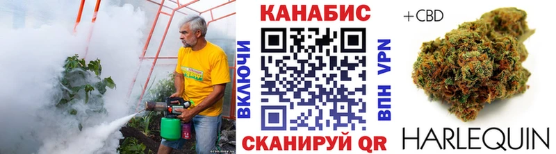 Канабис планчик  MEGA ONION  Муравленко  цены  
